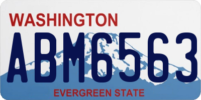 WA license plate ABM6563