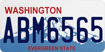 WA license plate ABM6565