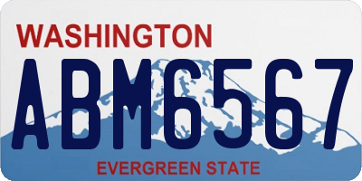 WA license plate ABM6567