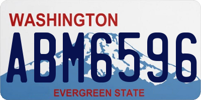 WA license plate ABM6596