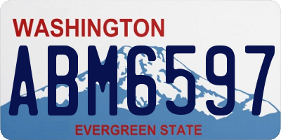 WA license plate ABM6597