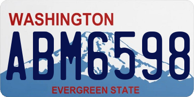 WA license plate ABM6598
