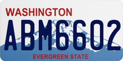 WA license plate ABM6602