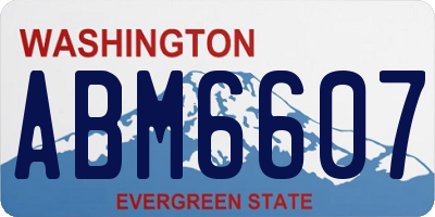 WA license plate ABM6607