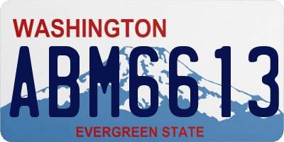WA license plate ABM6613
