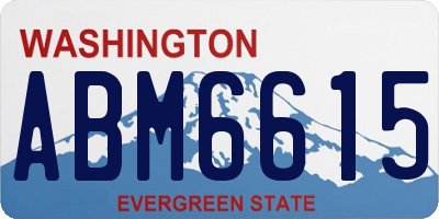 WA license plate ABM6615