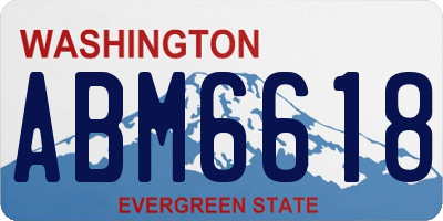 WA license plate ABM6618
