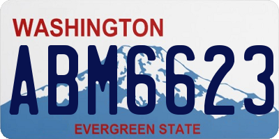 WA license plate ABM6623