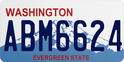 WA license plate ABM6624