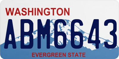 WA license plate ABM6643