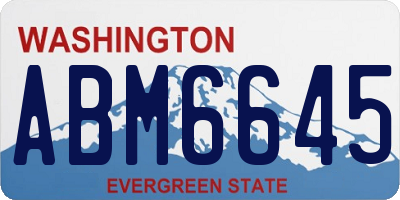 WA license plate ABM6645