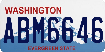 WA license plate ABM6646