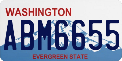 WA license plate ABM6655