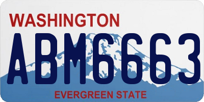 WA license plate ABM6663