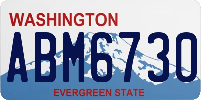 WA license plate ABM6730