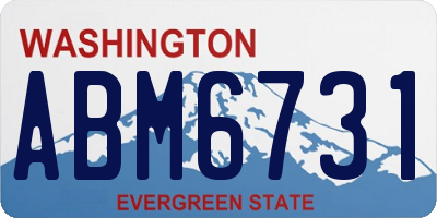 WA license plate ABM6731