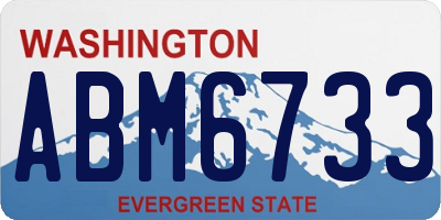 WA license plate ABM6733