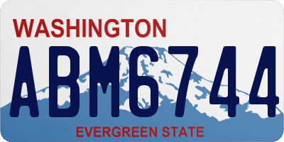 WA license plate ABM6744