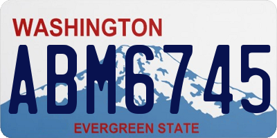 WA license plate ABM6745