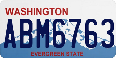 WA license plate ABM6763