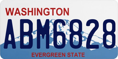 WA license plate ABM6828
