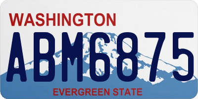 WA license plate ABM6875