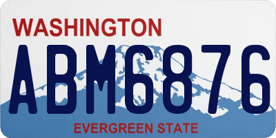 WA license plate ABM6876