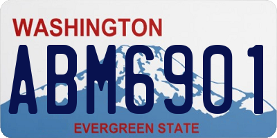 WA license plate ABM6901