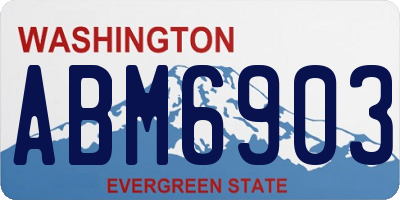 WA license plate ABM6903