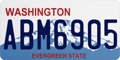WA license plate ABM6905