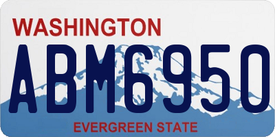 WA license plate ABM6950