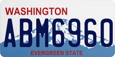 WA license plate ABM6960