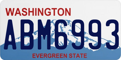 WA license plate ABM6993