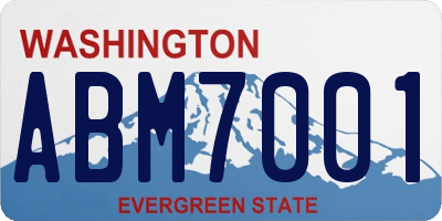 WA license plate ABM7001
