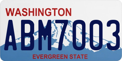 WA license plate ABM7003