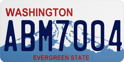 WA license plate ABM7004