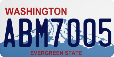 WA license plate ABM7005