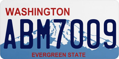 WA license plate ABM7009