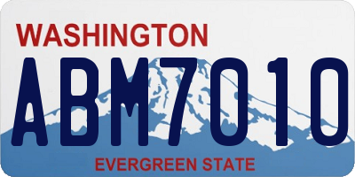 WA license plate ABM7010
