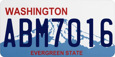WA license plate ABM7016