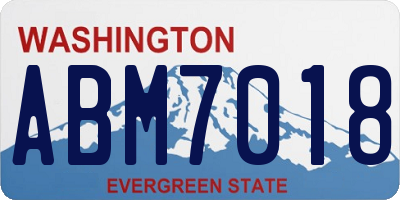 WA license plate ABM7018