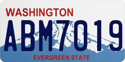 WA license plate ABM7019