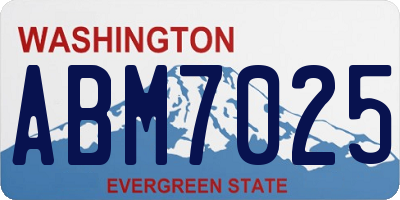 WA license plate ABM7025