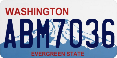 WA license plate ABM7036