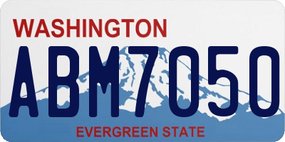 WA license plate ABM7050