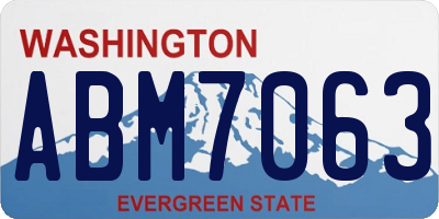 WA license plate ABM7063