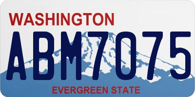 WA license plate ABM7075