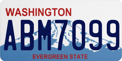 WA license plate ABM7099