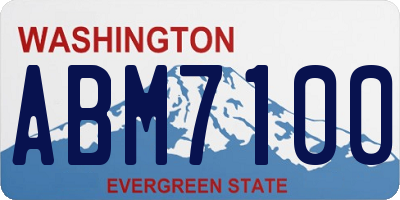 WA license plate ABM7100