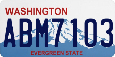 WA license plate ABM7103